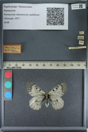 Media type: image;   Entomology 180088